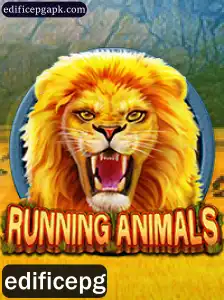 RunningAnimals: Uma Aventura Selvagem Espera por Você